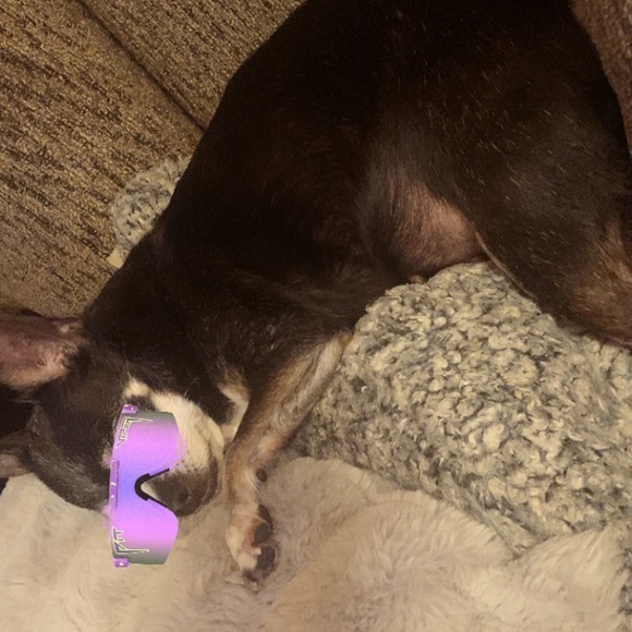 Meet your Posher, Kailey - Picture 1 of 1